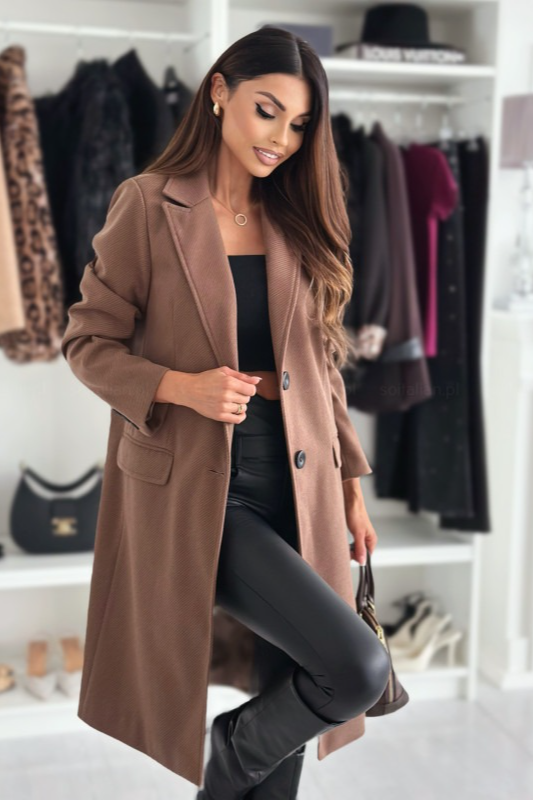 Explosive Model Plain Single Breasted Simple Woolen Long Sleeve Overcoat - Fashionpara