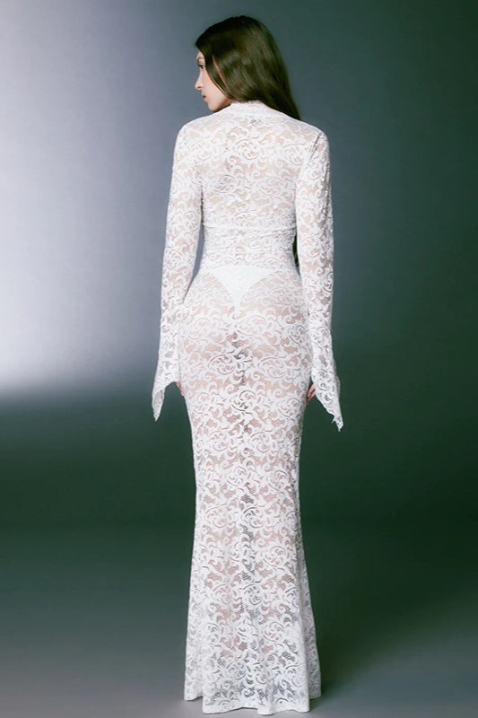 Deep V-Neck Lace Sheer Mesh Maxi Dress