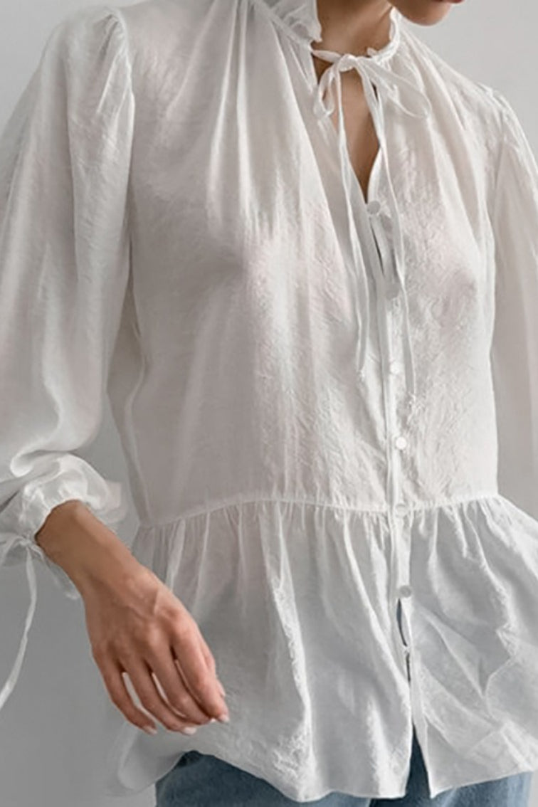 Sheer Puff Sleeve Tie Blouse