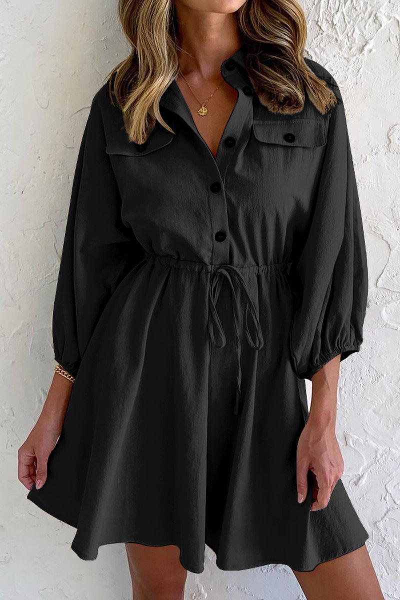 Lapel Drawstring Swing Dress
