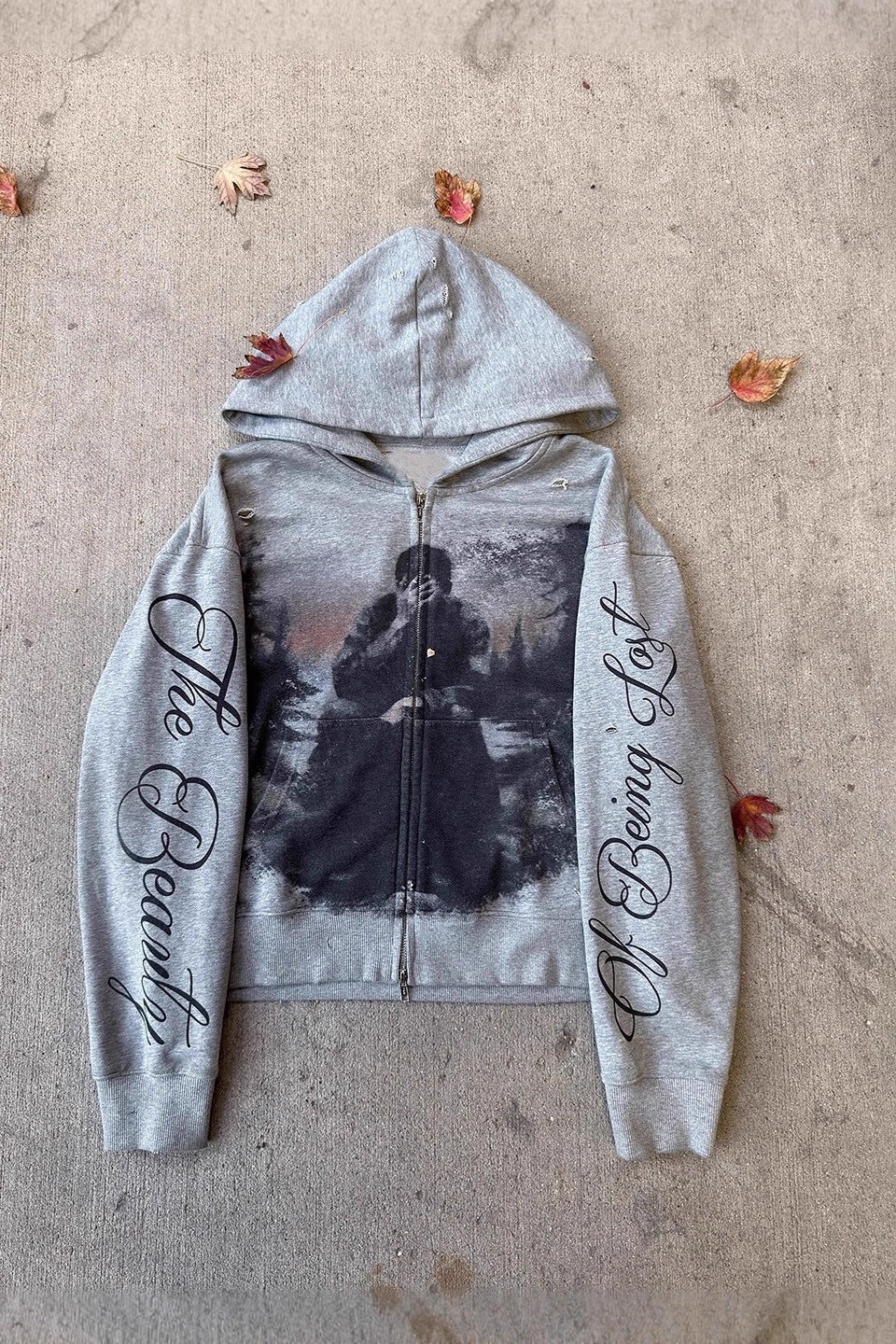 Photo Letter Graphic Zip Front Hoodie