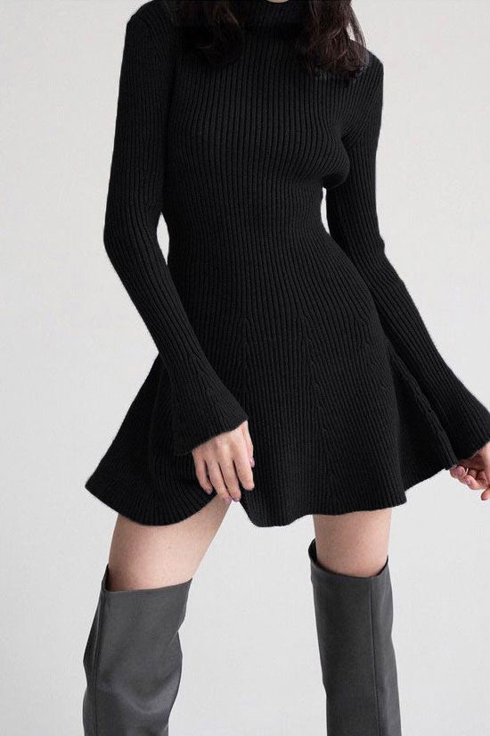 Chic High Neck Rib Knit Long Sleeve Sweater Dress in Black