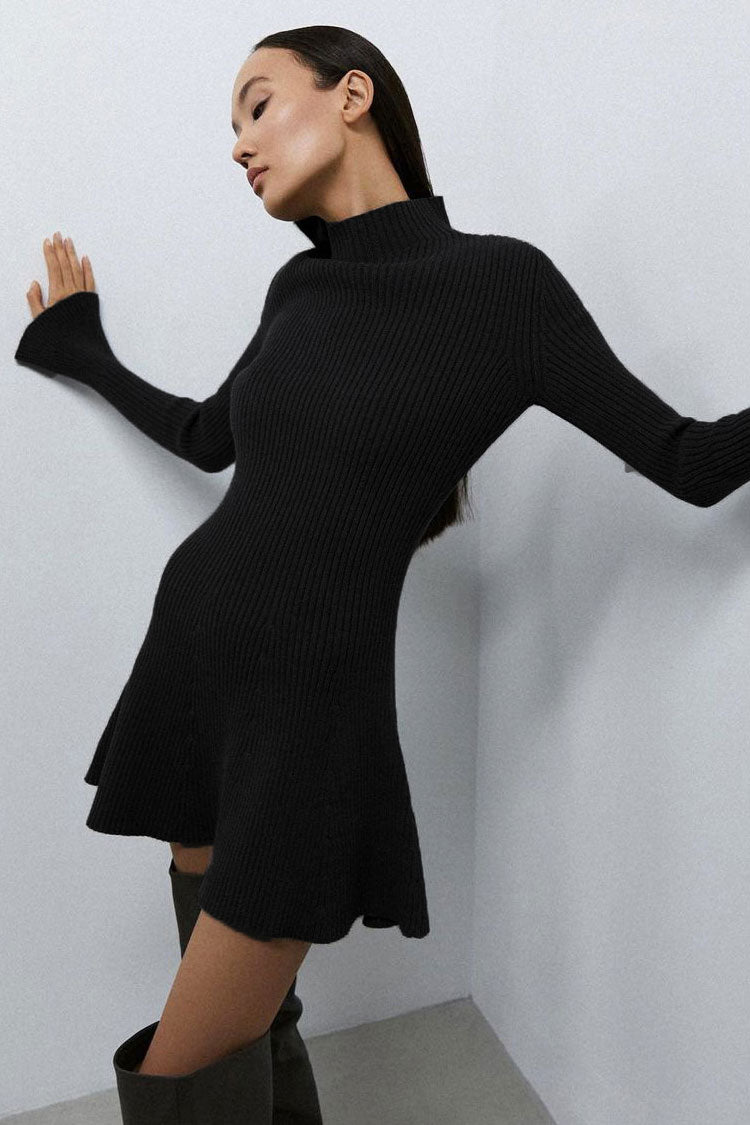 Chic High Neck Rib Knit Long Sleeve Sweater Dress in Black