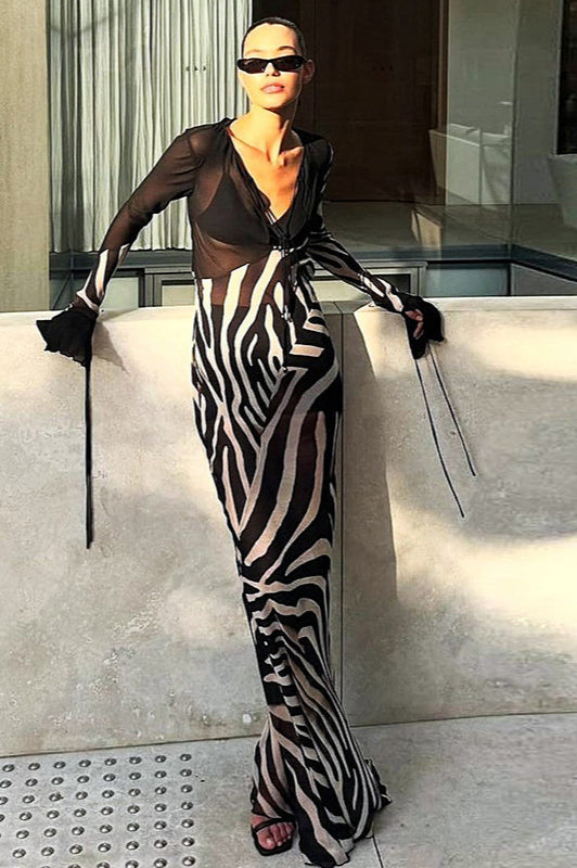 Colorblock Print V Neck Mesh Maxi Dress