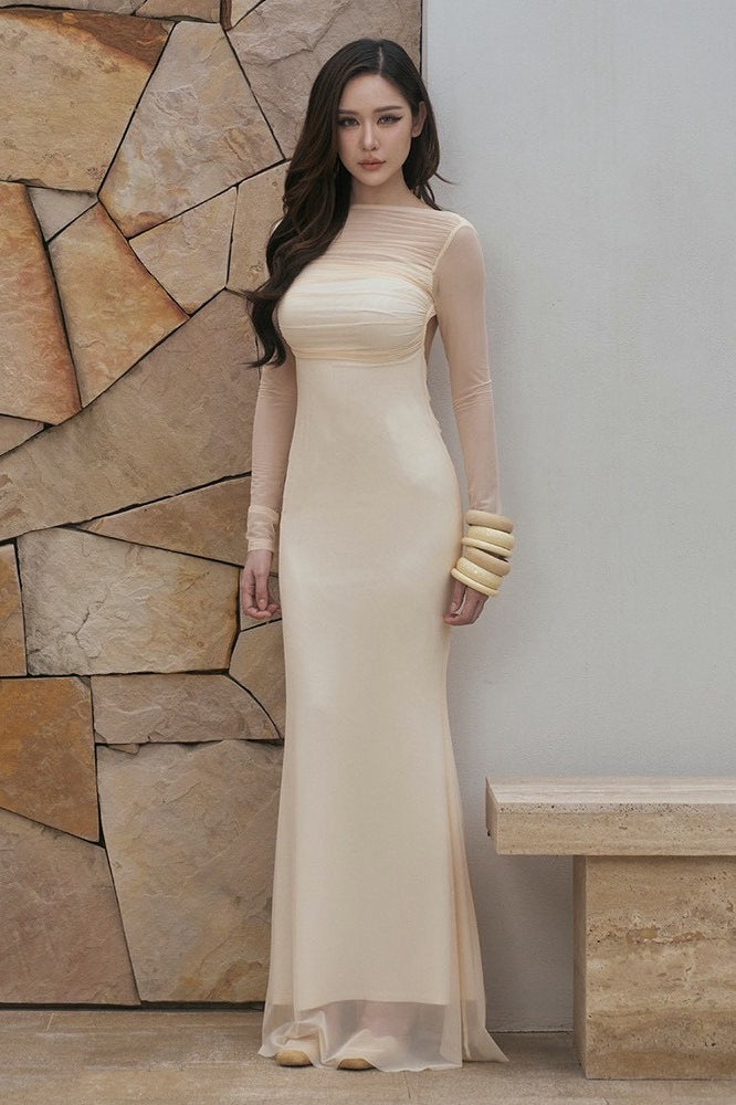 Mesh Long Sleeve High Neck Fishtail Maxi Dress