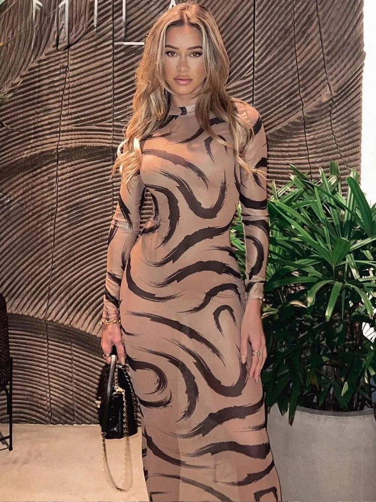 Mesh Long Sleeve See Through Midi Dress - View 3