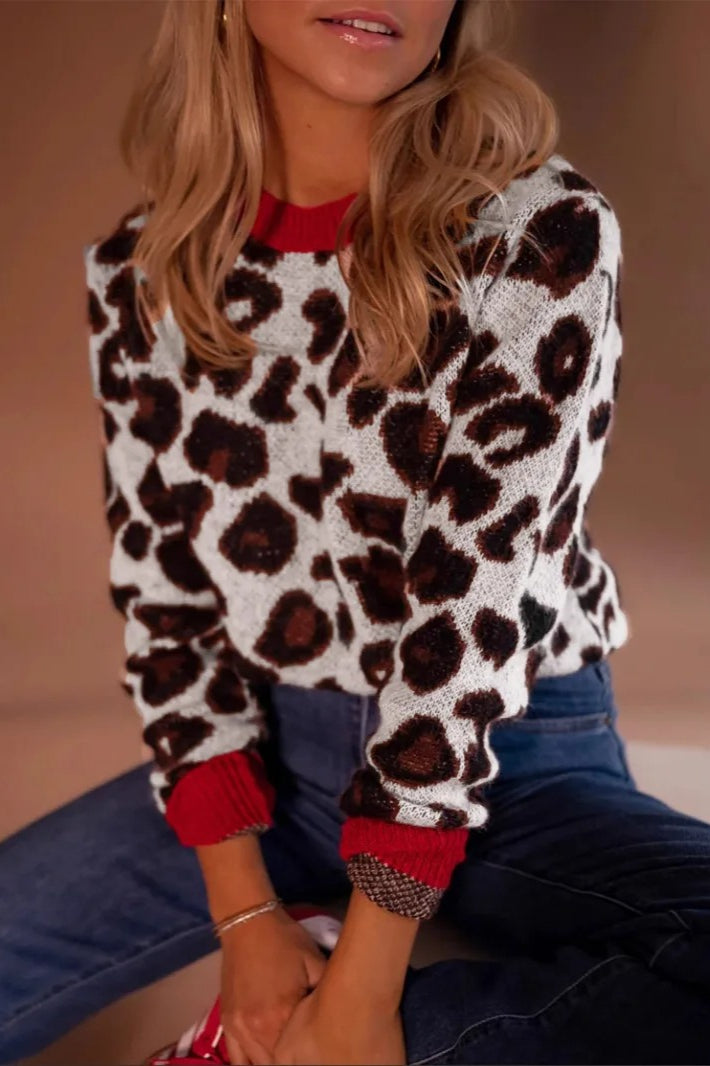 PrincessAce Colorblock Leopard Jacquard Sweater for Style