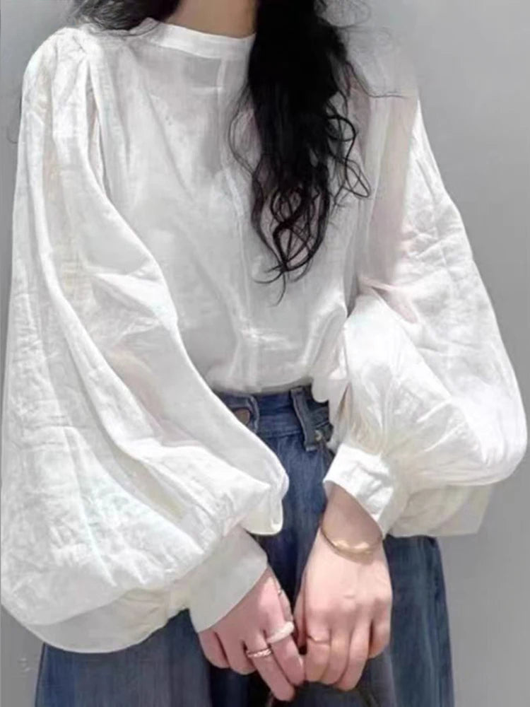 Mesh Lantern Sleeve Blouse Spring Tunic Blouse