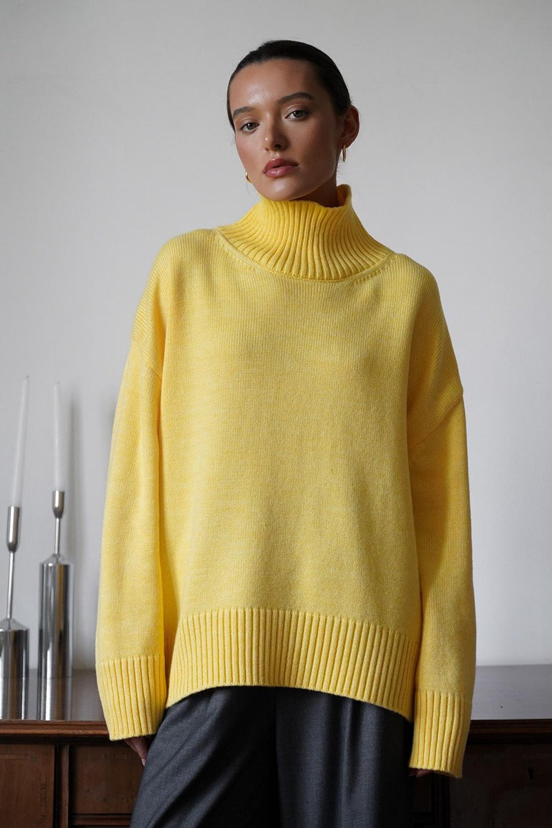 Solid Color Turtleneck Knit Sweater 4