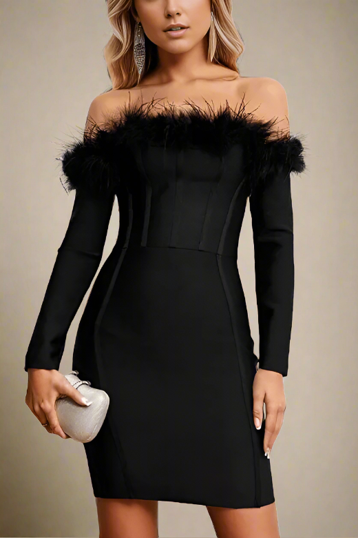 Erin Long Sleeve Off Shoulder Bodycon Mini Dress - Classic Black - Fashionpara