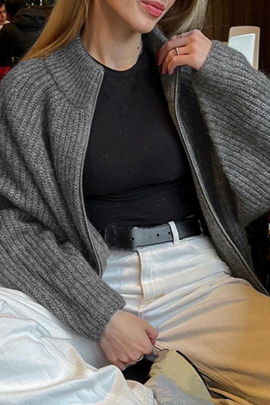 Minimalist Solid Color Double Zipper Stand Collar Sweater