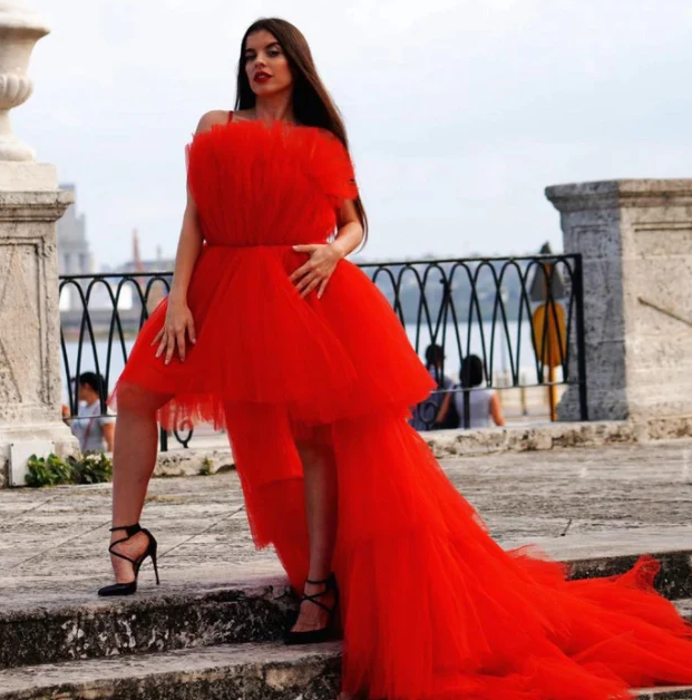 Prom Dress, Tulle Dresses, Formal Prom Dress - Fashionpara