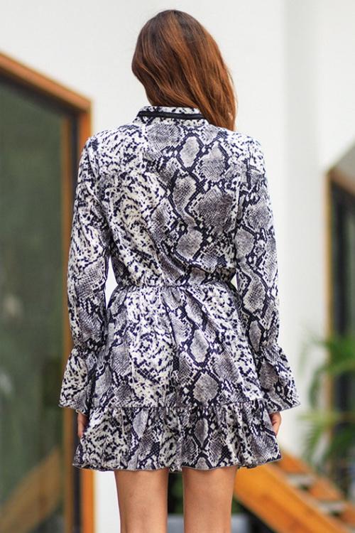 Leopard V Neck Long Sleeve Dress - Fashionpara