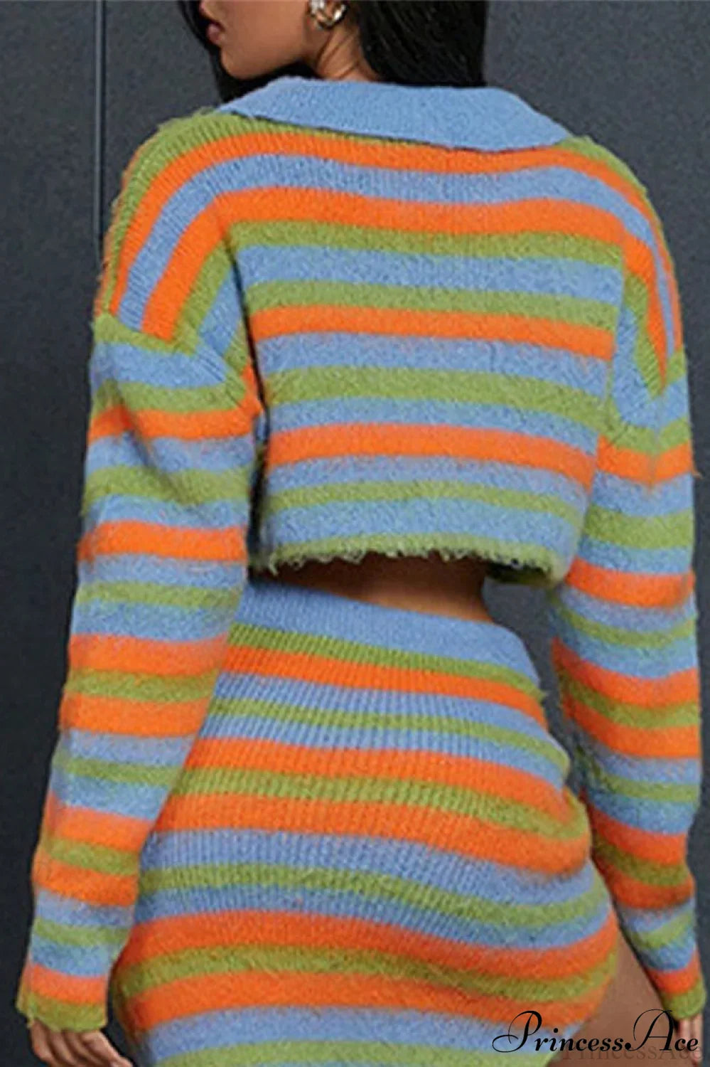 PrincessAce Colorblock Knit Crop Sweater in Striped Design