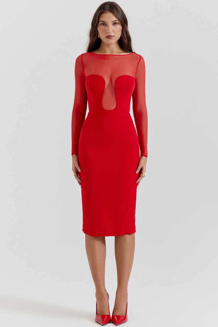 Sheer Mesh Boat Neck Long Sleeve Bodycon Midi Dress - View 4