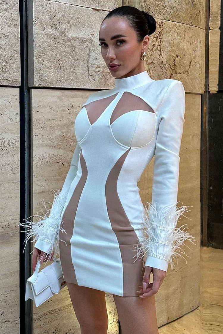 Unique High Neck Feather Trim Long Sleeve Mini Dress - White