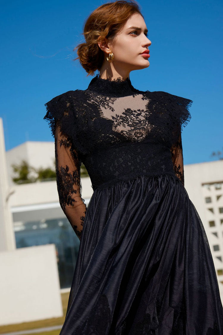 Lace High Neck Long Sleeve Sheer A-Line Maxi Dress - View 6