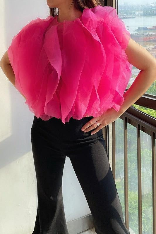 Ruffled Feathers Sleeveless Tulle Top - Fashionpara
