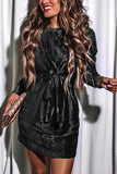 Velvet Twist Long Sleeve Mini Dress